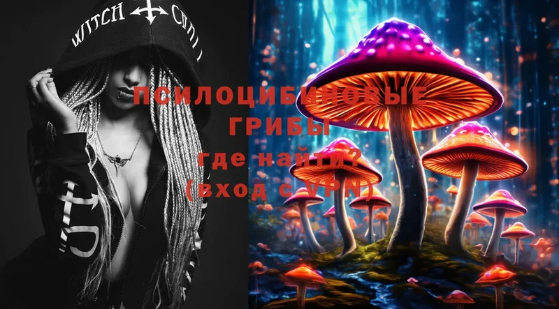 Галлюциногенные грибы MAGIC MUSHROOMS  это какой сайт  Богданович  OMG маркетплейс 